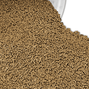 Complete Dairy Calf 16